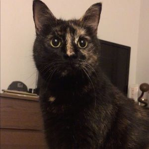 Meet your Posher, James